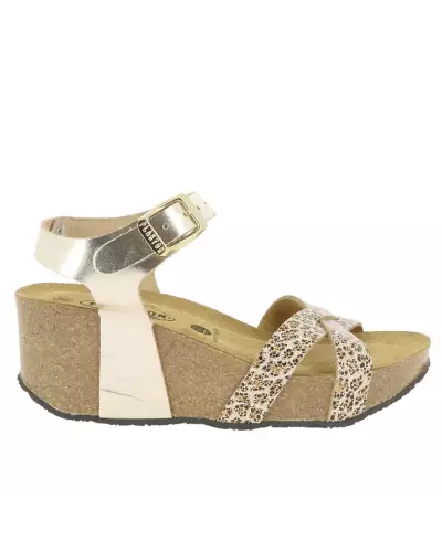 SO FINAL Plakton ANGELICA METAL LUX 875087